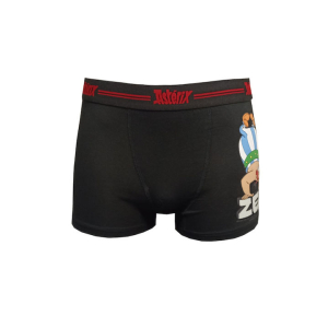 Ανδρικό Αθλητικό Μποξεράκι Asterix Kybbvs