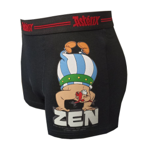 Alternative view of Ανδρικό Αθλητικό Μποξεράκι Asterix Kybbvs